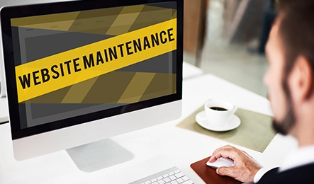 Maintenance: Keeping Your Site Secure and Performing