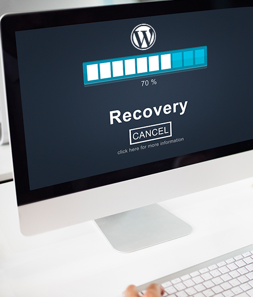 Website-Recovery